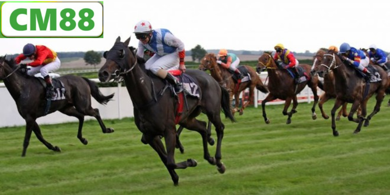 Các Yếu Tố Ảnh Hưởng Đến Kết Quả Đua Ngựa